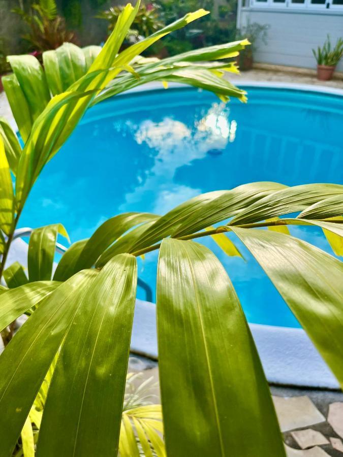 Tiaki Guesthouse - Cozy Modern Studio - 5Min Drive From The Beach And Punaauia Center Luaran gambar