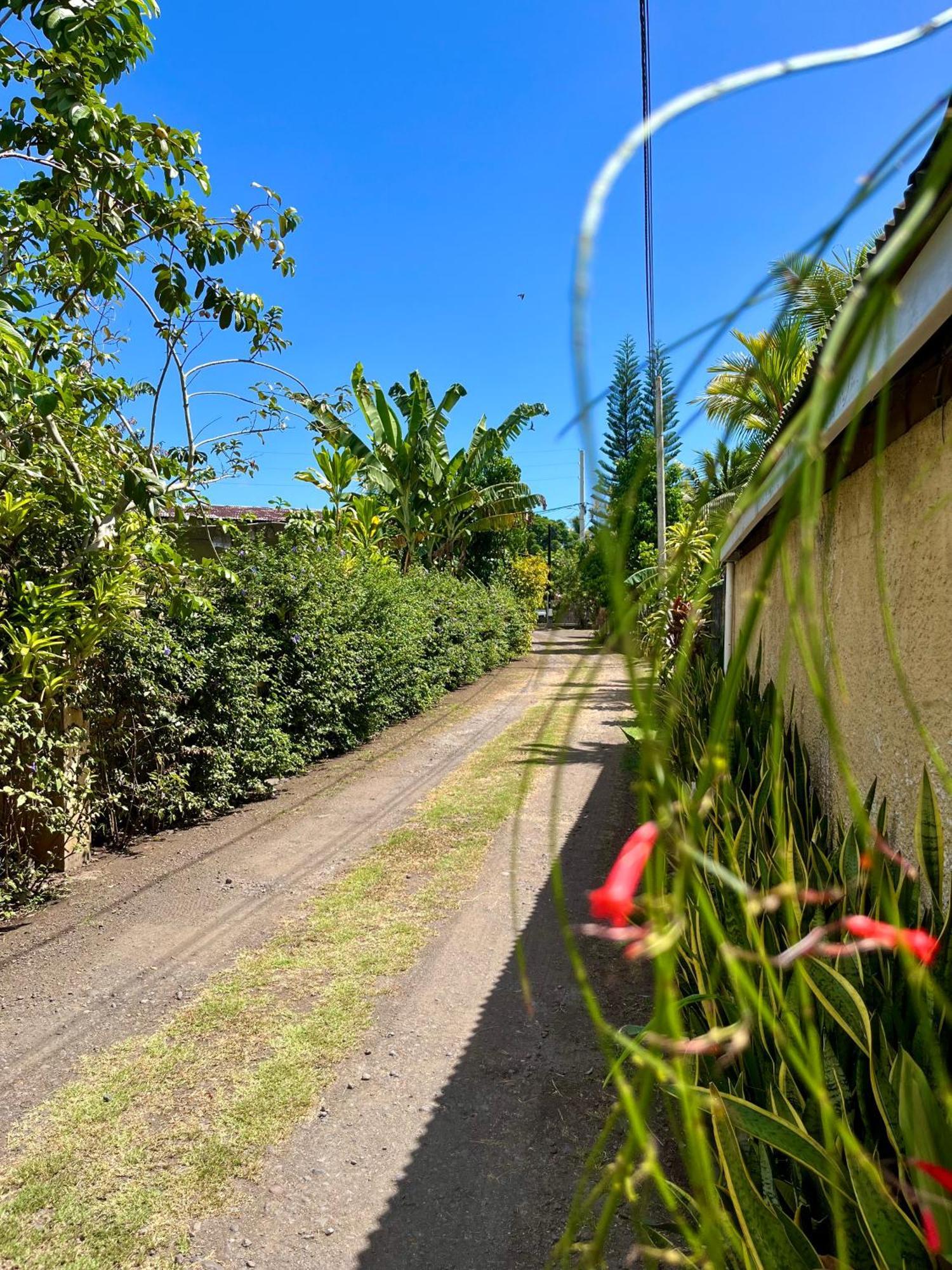 Tiaki Guesthouse - Cozy Modern Studio - 5Min Drive From The Beach And Punaauia Center Luaran gambar
